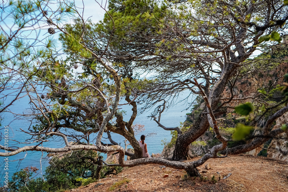 Top view of the turquoise Mediterranean sea, rocks and Bay, through the trees