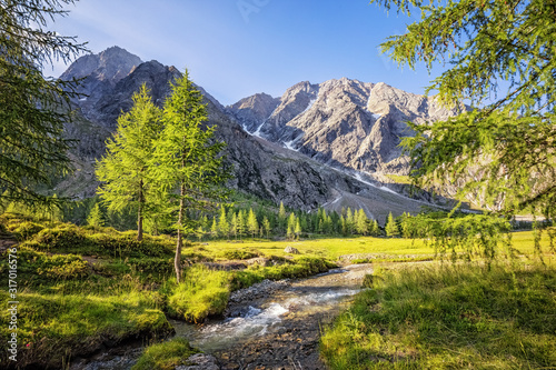 Small river flowing in the alpine valley Gradental in Carinthia south of Grossgl Fototapeta
