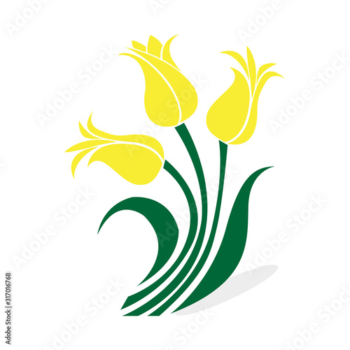vector flower logo design and ornament