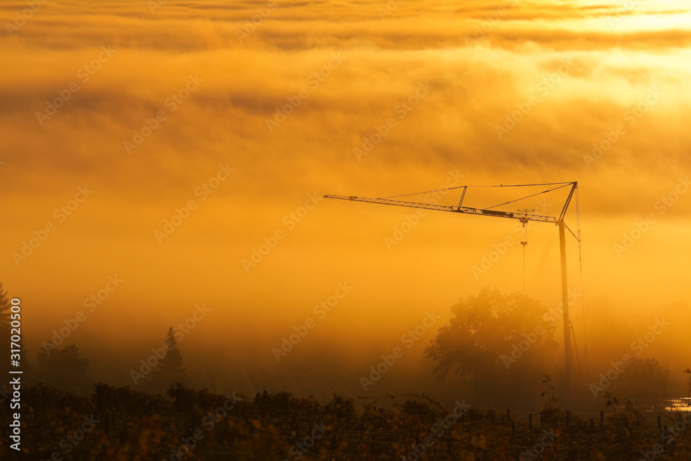 Naklejka premium Construction crane in the fog at sunrise