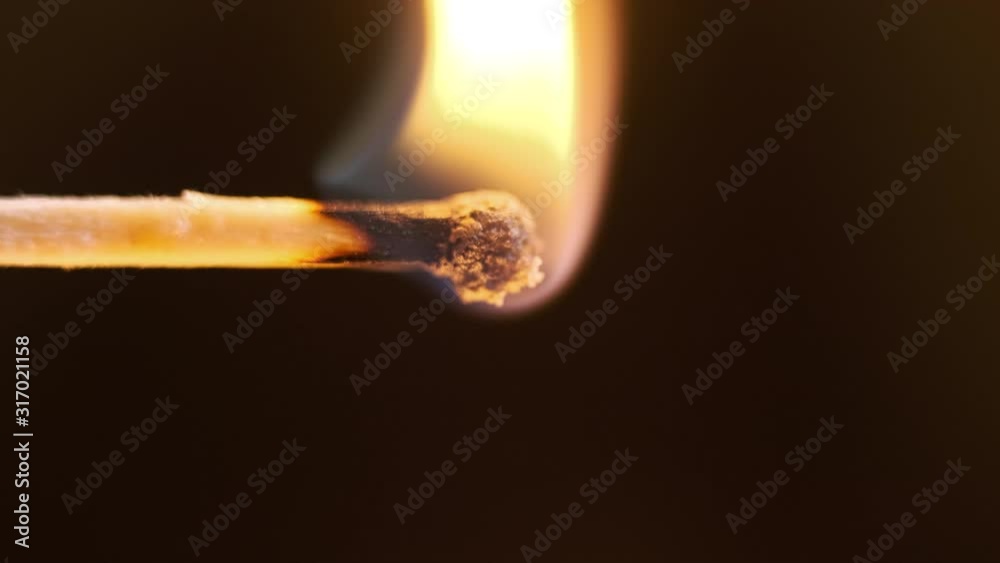 High quality shot of a burning or exploding match. Macro shot, very shallow depth of field. High quality shot of a burning or exploding match. Macro shot, very shallow depth of field.