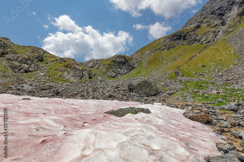 Red Sahara Sand Lying on the Snow, Gradental, Carinthia, Austrian Alps photo