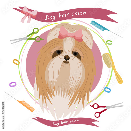 Cute dog at groomer salon. Pet grooming concept. Vector illustration for pet hair salon, styling and grooming shop, pet store for dogs and cats. Yorkshire terrier illustration. Animals banner.