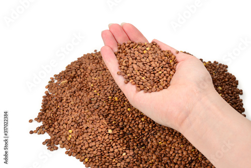 Lentils on a white background in woman hands. © Nikolay