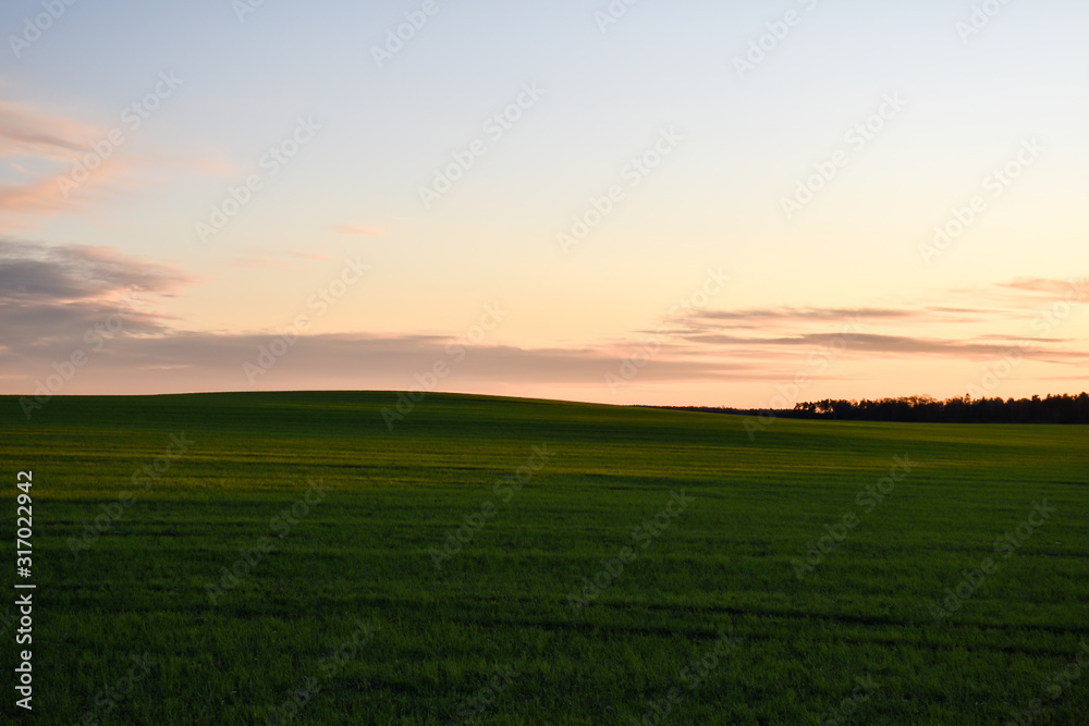 Rolling green hills by sunset