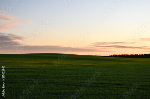 Rolling green hills by sunset © Birgitta