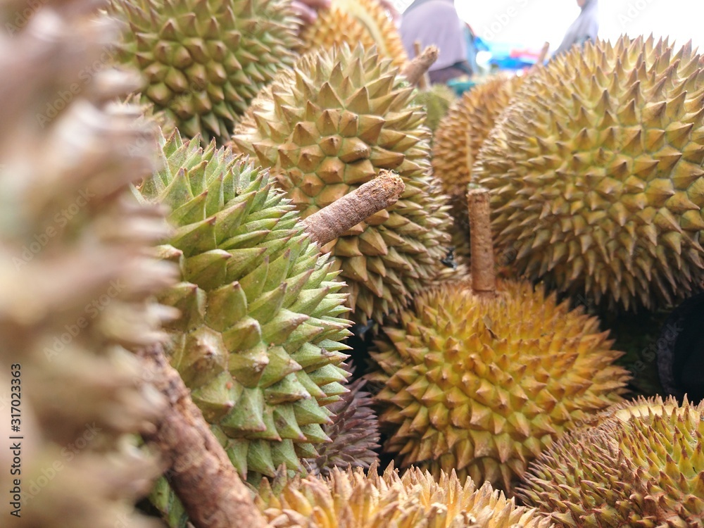 durian in the market