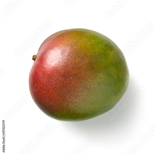 Single fresh whole mango