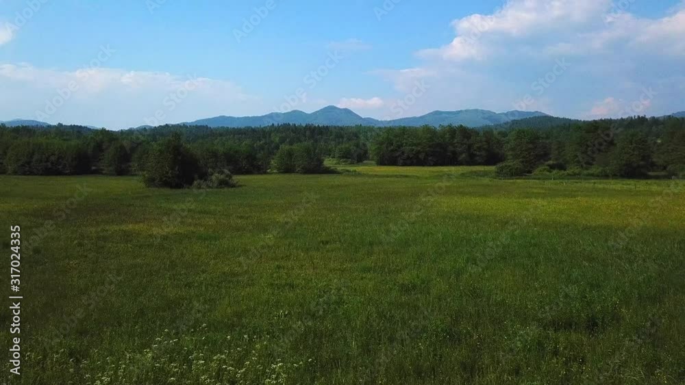Drone view of a mountian and forest landscape Drone view of a mountian and forest landscape