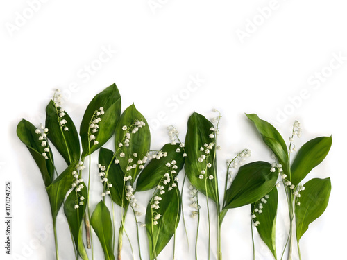 Flower with leaves Lily of the valley ( Convallaria majalis, May bells, may-lily ) on a white background with space for text. Top view, flat lay