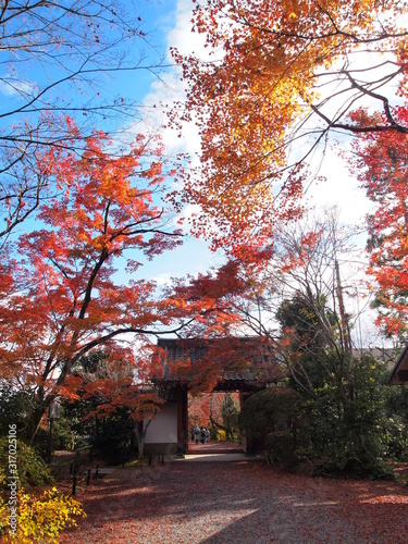 常照寺