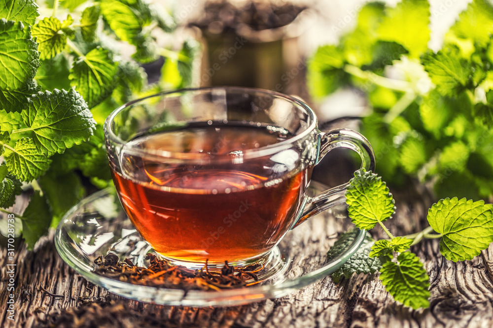 A cup of melissa tea with herbs on wooden table A cup of melissa tea with herbs on wooden table