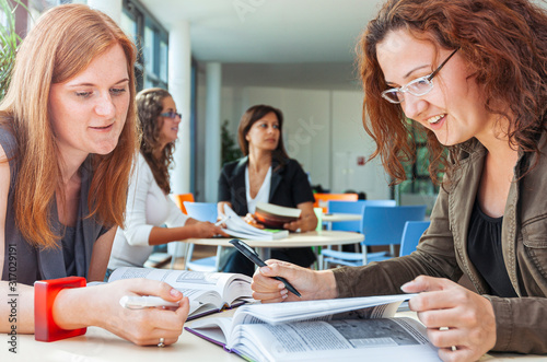 Female students learning in a team at a sunny university surrounding