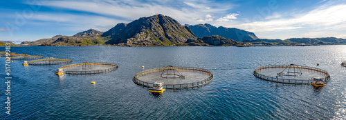 Vászonkép Farm salmon fishing in Norway