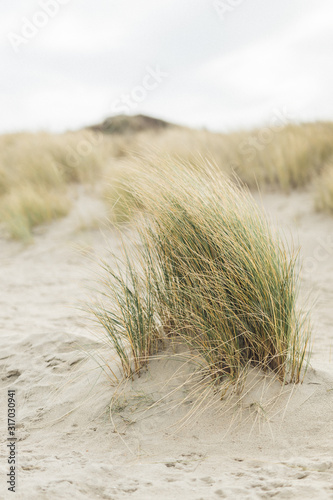 Fototapeta Naklejka Na Ścianę i Meble -  plage