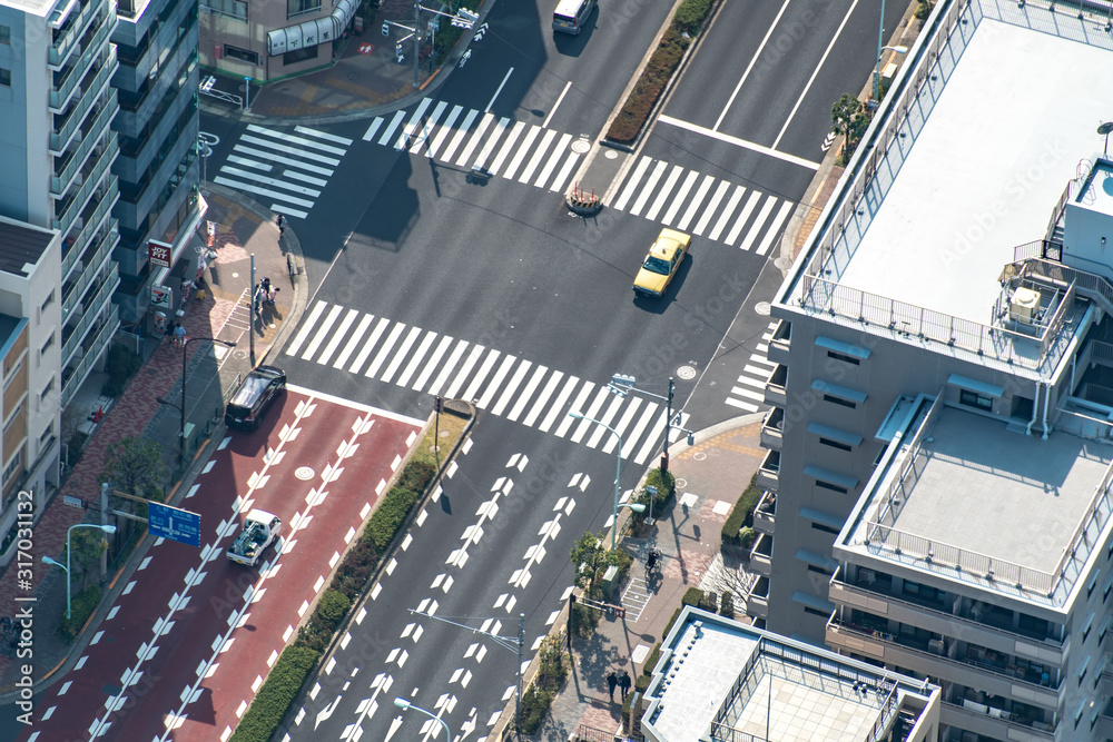 Φωτογραφία TOKYO, JAPAN - March 27 2019: People passing the street crossing in Sumida district, Tokyo