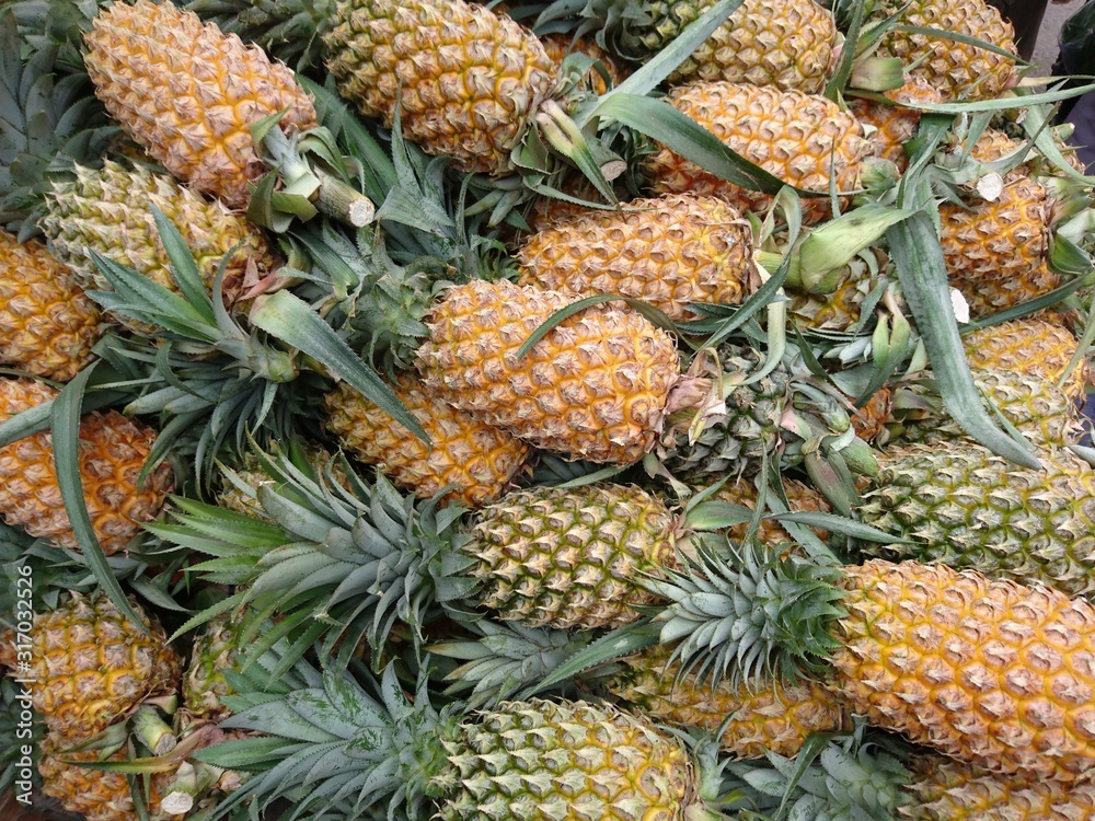 pineapple in the market pineapple in the market