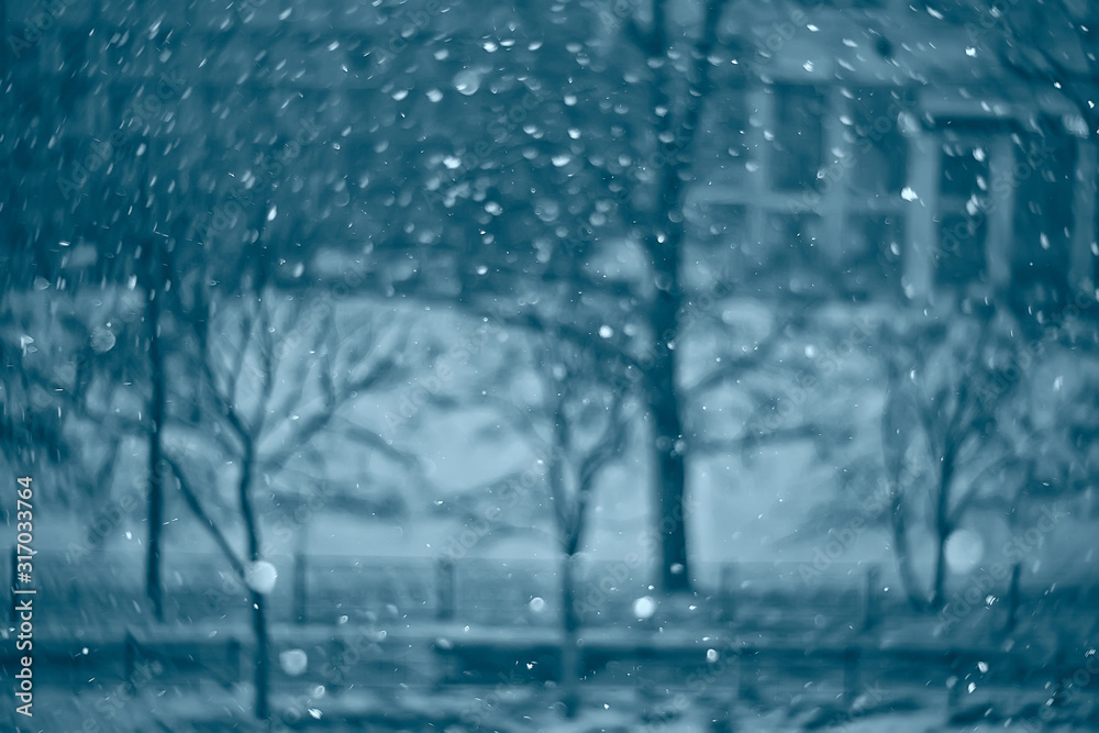 landscape winter forest gloomy, seasonal landscape snow in forest nature landscape winter forest gloomy, seasonal landscape snow in forest nature