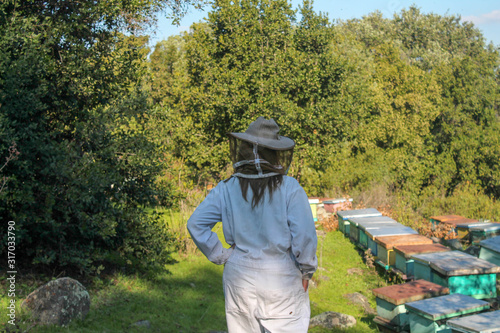 Trabajo de apicultura en el cerro