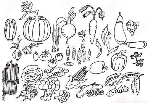  Drawing with pencils and watercolor paints. Set of vegetables. Design of banner, pattern, cover, backgrounds.