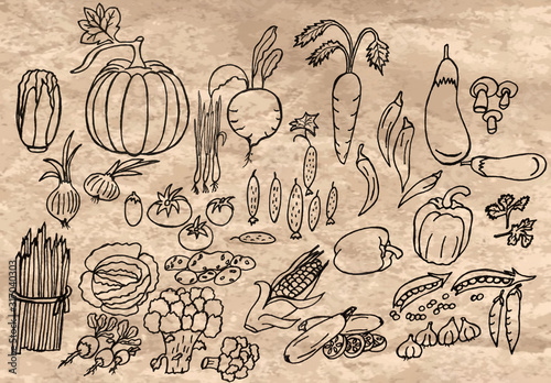  Drawing with pencils and watercolor paints. Set of vegetables. Design of banner, pattern, cover, backgrounds.