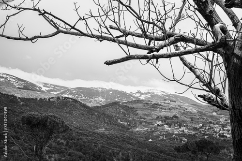 The mountains of Lebanon were once shaded by thick cedar forests and tree is the symbol of country. Beautiful landscape of mountainous town in winter, black and white, Chouf district with large vistas