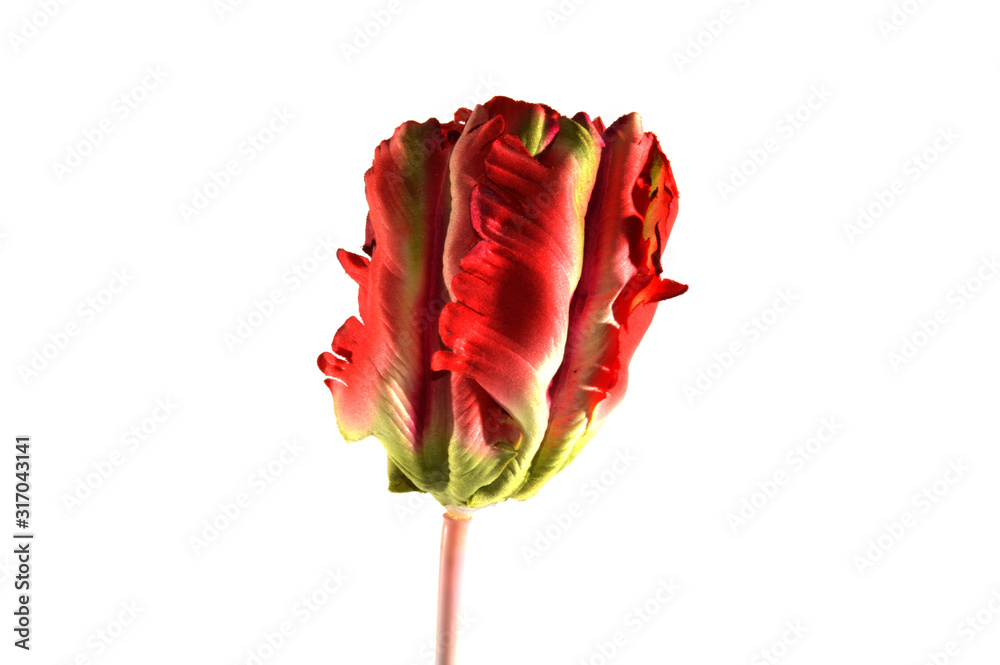 artificial flower isolated on white background artificial flower isolated on white background