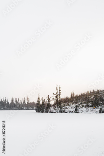 landscape in winter © Matej