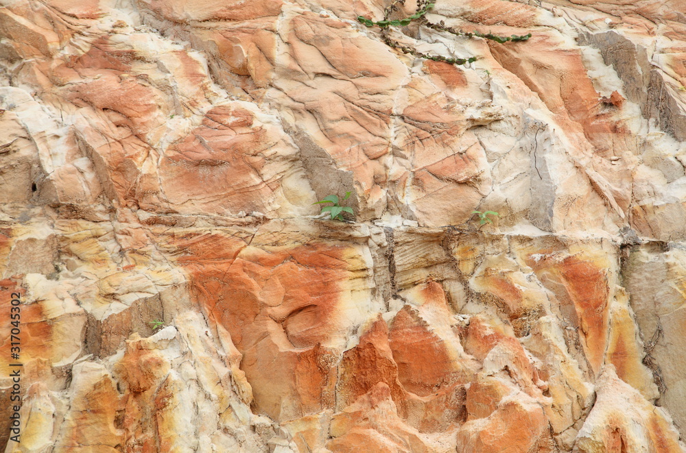 Fototapeta premium texture of stone background 