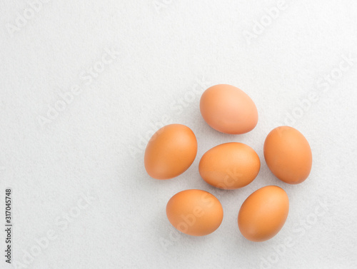 Obraz na płótnie Six eggs placed on the floor isolate on white background. w salonie