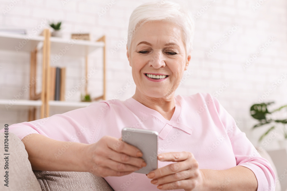 Cheerful senior lady enjoying modern cellphone at home Cheerful senior lady enjoying modern cellphone at home