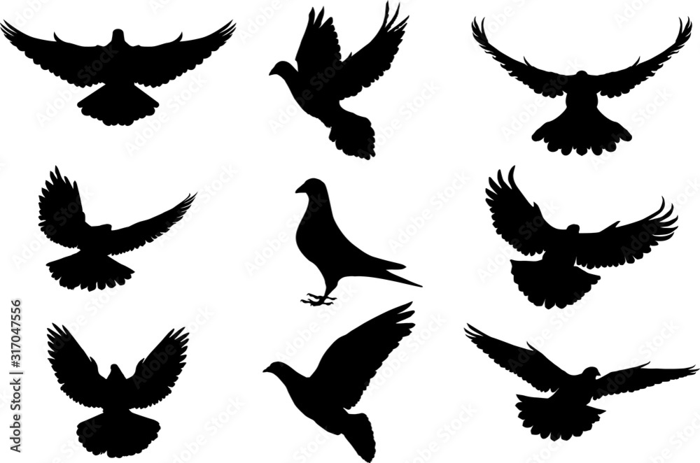 Pigeon silhouette, flying dove silhouette vector - obrazy, fototapety, plakaty 