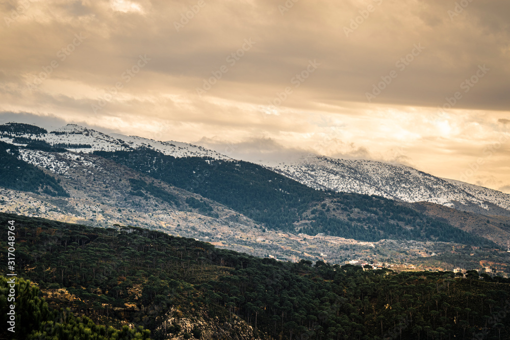 Fototapeta premium The mountains of Lebanon were once shaded by thick cedar forests and tree is the symbol of country. Beautiful landscape of mountainous town in winter, Eco tourism, Chouf district with large vistas
