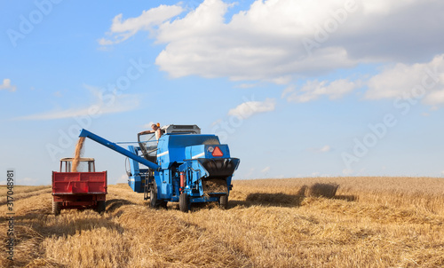 Blue combine in the field during harvest  peeling cereal grains and pouring with a pipe onto the trailer