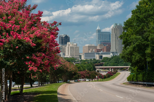 Downtown Raleigh skyline with crepe myrtle trees in bloom