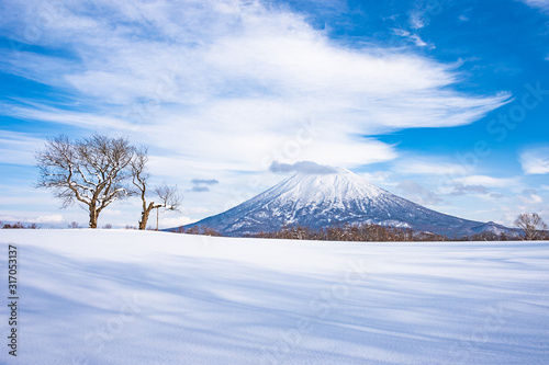 冬の羊蹄山