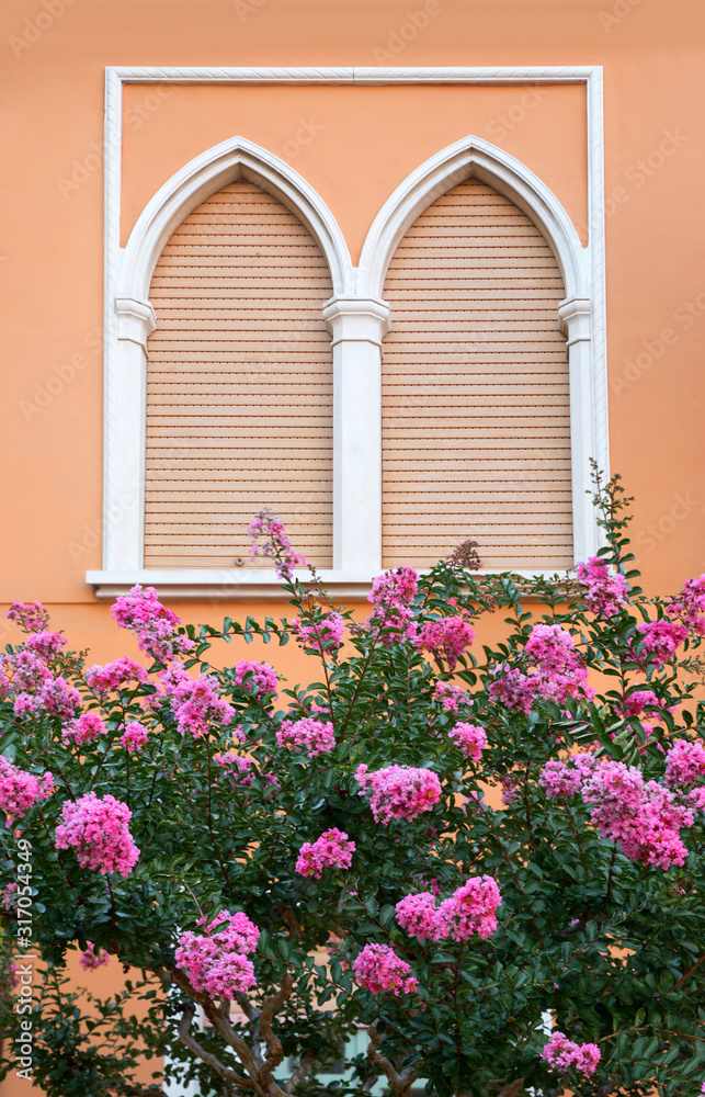 mediterranean house facad with arched window and closed shutters, blooming tree