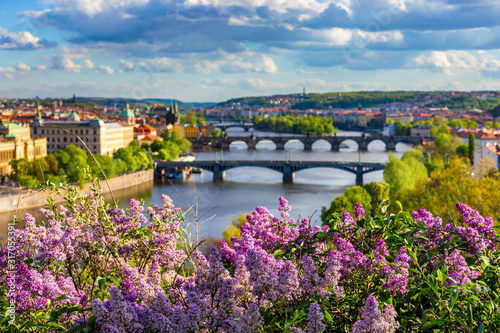 Canvas Print Amazing spring cityscape, Vltava river and old city center with colorful lilac blooming in Letna park, Prague, Czechia