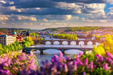 Fototapete Prag Malerischer Blick auf die Altstadt-Pierarchitektur und die Karlsbrücke über die Moldau in Prag, Tschechien. Prager ikonenhafte Karlsbrücke (Karluv Most) und Altstädter Brückenturm bei Sonnenuntergang, Tschechien.  © daliu