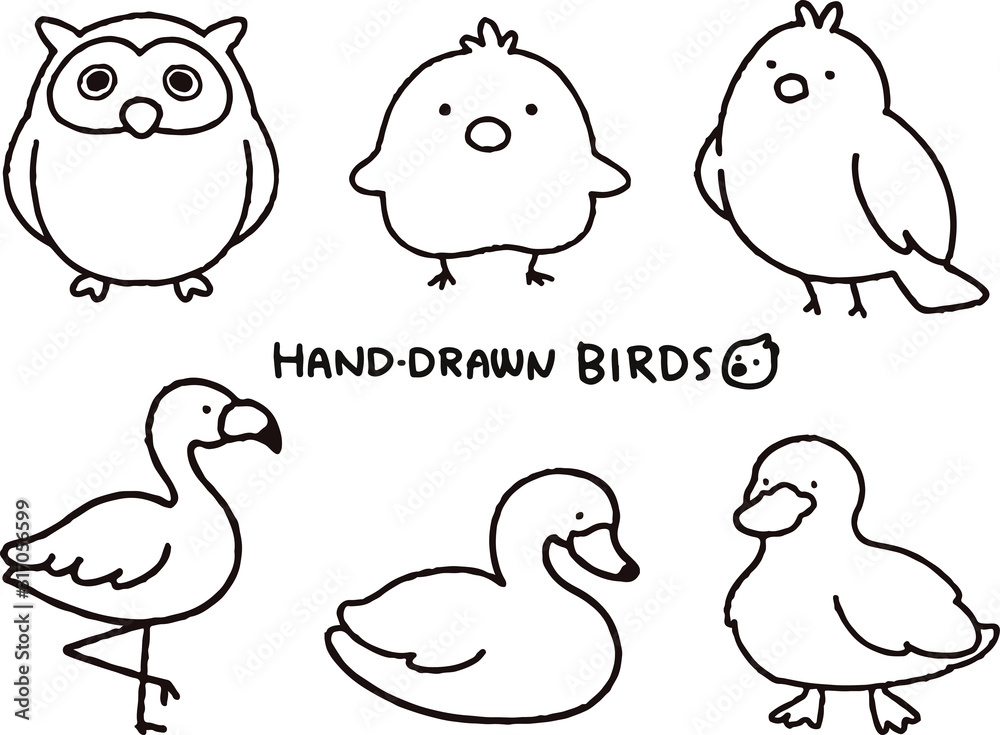 Fototapeta premium A set of cute birds with black outline