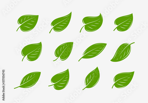 Green leaf icon set. Natural, organic logo or symbol vector