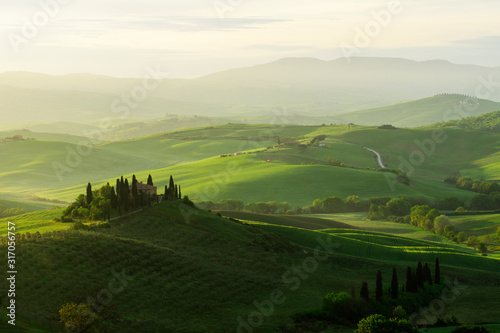 Landscape in tuscany Val D'Orcia, Belvedere, Panoramic view.