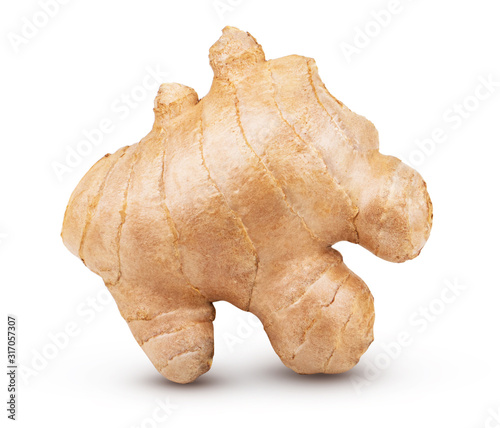 Creative concept of ginger root isolated on white background