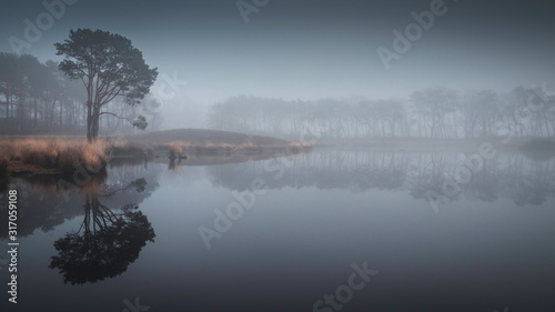 misty morning at a fen with reflections in the water in the Netherlands