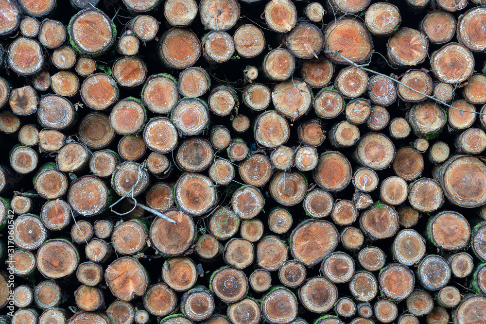 wood pile multiple logs in a group wood pile multiple logs in a group