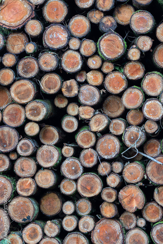 wood pile multiple logs in a group 