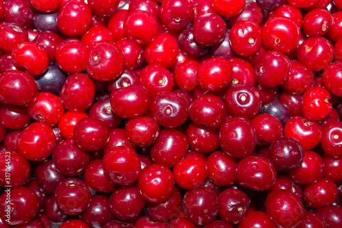 Cherry background