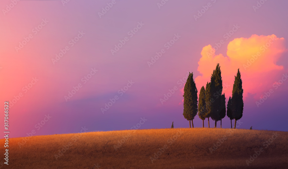 Fototapeta premium Piękny krajobraz przyrody; gospodarstwo rolne i cyprysów nad niebo zachód słońca