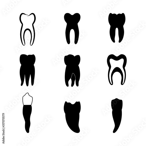 Vector isolated illustration of tooth