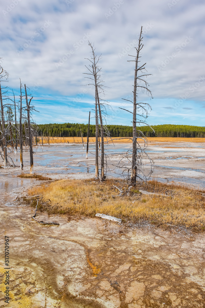 Yellowstone National Park in Wyoming Yellowstone National Park in Wyoming